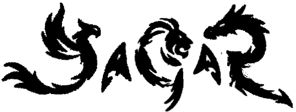 sagar profile